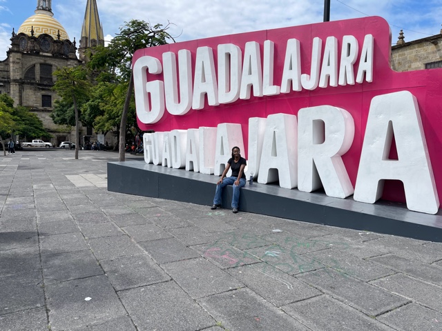 Guadalajara Centro Galería